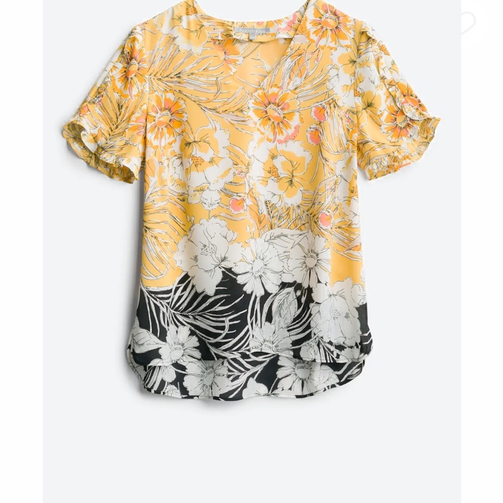 Daniel Rainn Ello Ruffle Sleeve Detail Blouse